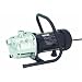Wayne Home Equipment PLS100 Lawn Sprinkler And Utility Pump