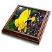 A Beautiful Yellow Flower With Purple in The Center up Close - 8x8 Trivet With 6x6 Ceramic Tile