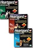 Heartgard Plus Brown 6 Pack