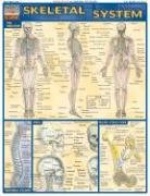 Skeletal System Laminate Reference Chart (Quickstudy: Academic) [Misc. Supplies]