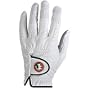 Collegiate Logo Golf Gloves--Florida State Seminoles