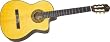 EC132C Acoustic Electric Guitar