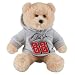 Search : Dale Earnhardt Jr NASCAR Teddy Bear