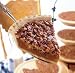 Gourmet Food : 1 Old-Fashion Pecan Pie (Gift Boxed)