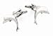Novelty rhodium plated high polished finish dolphin cufflinks with presentation box