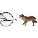 Pyramid Bicycle Dog Leash