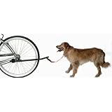 Sunlite Bicycle Dog Leash | bike dog leash
