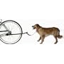 Sunlite Bicycle Dog Leash