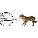 Sunlite Bicycle Dog Leash