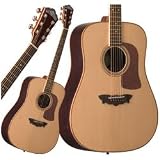 Washburn D56SWCE Acoustic Electric Guitar
