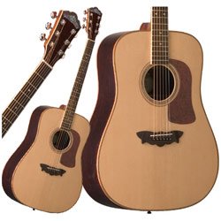 MusicalInstruments: Washburn D56SWCE Acoustic Electric Guitar