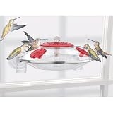 Window Hummingbird Feeder