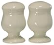 Mikasa French Countryside White Stoneware Salt and Pepper Set