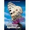 In den Sonnenterrassen Apollos