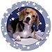 Beagle Dog Absorbastone Coaster Set of 4