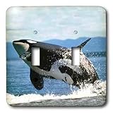 Whales - Killer whale airbourne - Light Switch Covers - double toggle switch