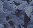 Butterfly Shaped Silk Rose Petals Wedding Favors - 200 Ct - Navy Blue