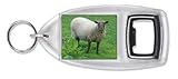 Sheep Intrigued by Camera Bottle Opener Keyring Gift, Ref:ASH 5BO 31JVOmh5g1L. SL160 Sheep Intrigued by Camera Bottle Opener Keyring Gift, Ref:ASH 5BO