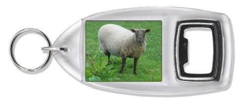 Sheep Intrigued by Camera Bottle Opener Keyring Gift, Ref:ASH 5BO 31JVOmh5g1L Sheep Intrigued by Camera Bottle Opener Keyring Gift, Ref:ASH 5BO