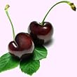 black cherry flavor extract