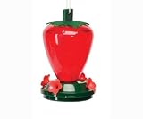 Strawberry Feeder