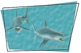 Giant 14.5 Inch Long Great White Shark