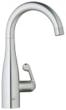 GROHE 30 017 SD0 Ladylux Single Hole Basin/ Pillar Tap Faucet, Stainless Steel