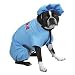 Halloween Costume For Dogs - ER Doctor (Extra Small)