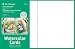 WATERCOLOR CARDS 100/PACK