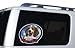   - * BEAGLE Dogs CAR Window 1-Way GRAPHIC Vision FILM New Gift