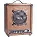 Pignose Hog 30 Amp