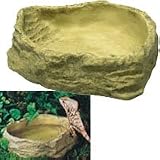 Water Dish - Large - 9 in. x 7 in. x 1 in.