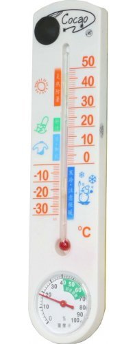 Outdoor Thermometer Hidden Camera DVR