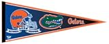 Florida Gators 2006 National Champion Pennant