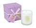 Isola Luce Hawaiian Plumeria Fressia Candle - Large