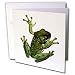Frogs - Green Frog - Greeting Cards-6 Greeting Cards with envelopes