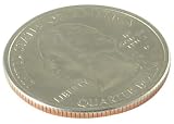 Expanded Quarter Shell