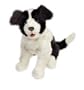 Scamps My Playful Pup  Black and White
