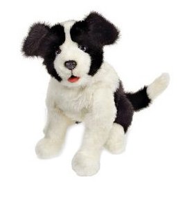 Scamps My Playful Pup Scamps My Playful Pup