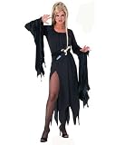 Enchantress Costume Adult