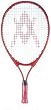 Volkl Boris Becker Generation 21