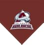 NHL Colorado Avalanche Fleece Throw Blanket