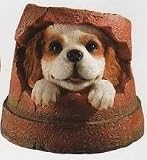 GORGEOUS DECORATIVE PLANT POT ORNAMENT WITH PEEPING PUPPY