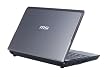 MSI Wind U120-001US 10-Inch Gray Netbook - 6 Cell Battery