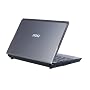 MSI Wind U120-001US 10-Inch Gray Netbook - 6 Cell Battery