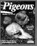 Pigeons