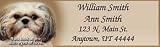 Personalized Custom Return Address Labels: Faithful Friends - Shih Tzu Booklet of 150 Address Labels