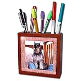 Dogs Schnauzer - Schnauzer - Tile Pen Holders-5 inch tile pen holder
