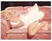 Marilyn Monroe Sexy Color Picture