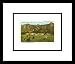 Stanley Hotel, Estes Park, Colorado Framed Art Poster Print, 19x17